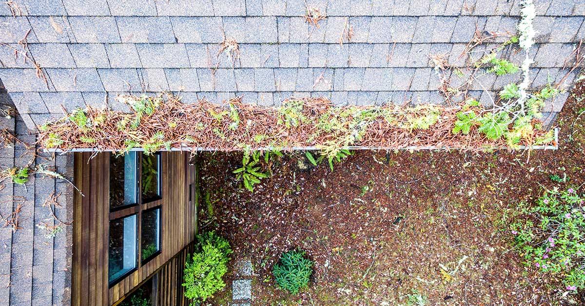 How Often Should You Clean Your Gutters in Chattanooga