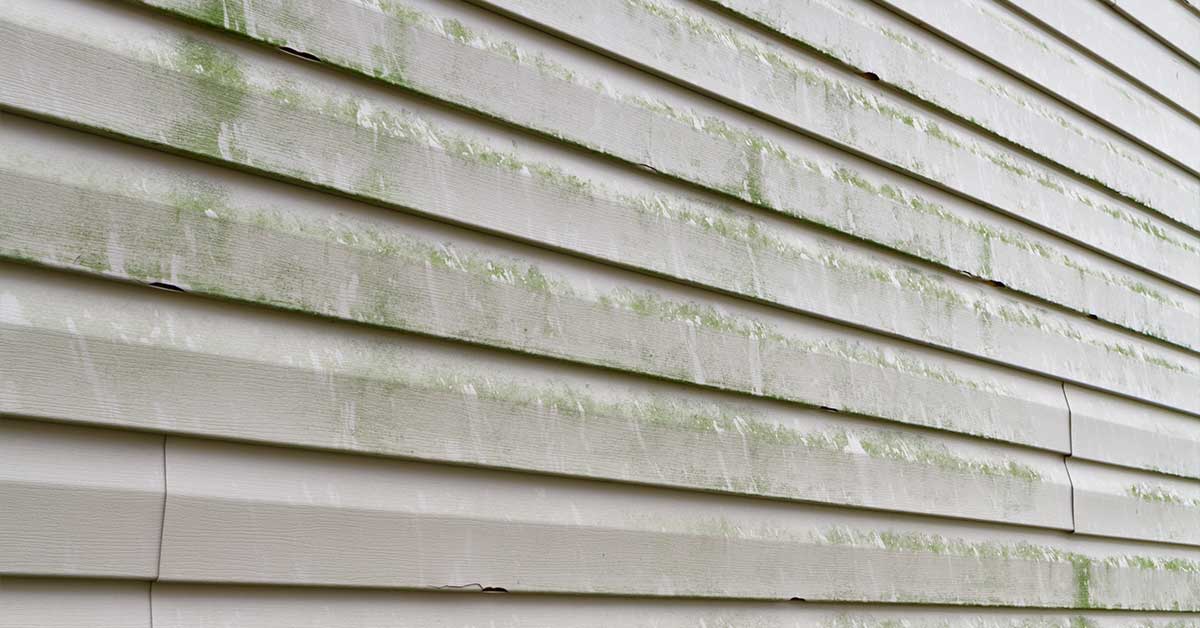Why North-Facing Sides of Homes Grow More Algae