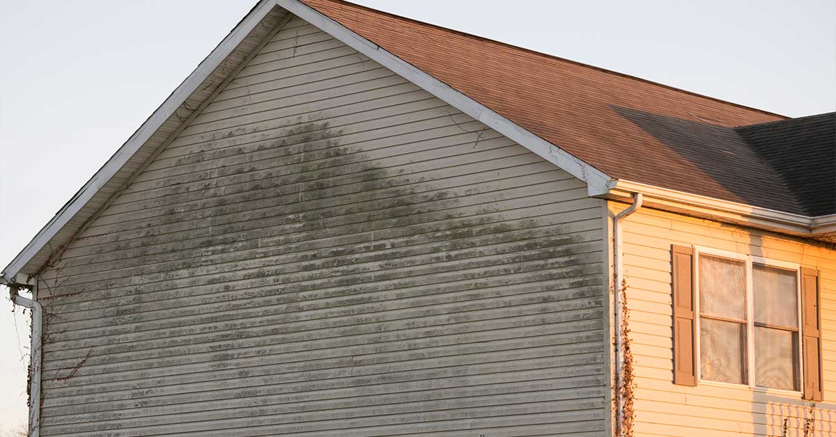 Can Pressure Washing Increase Your Home's Value