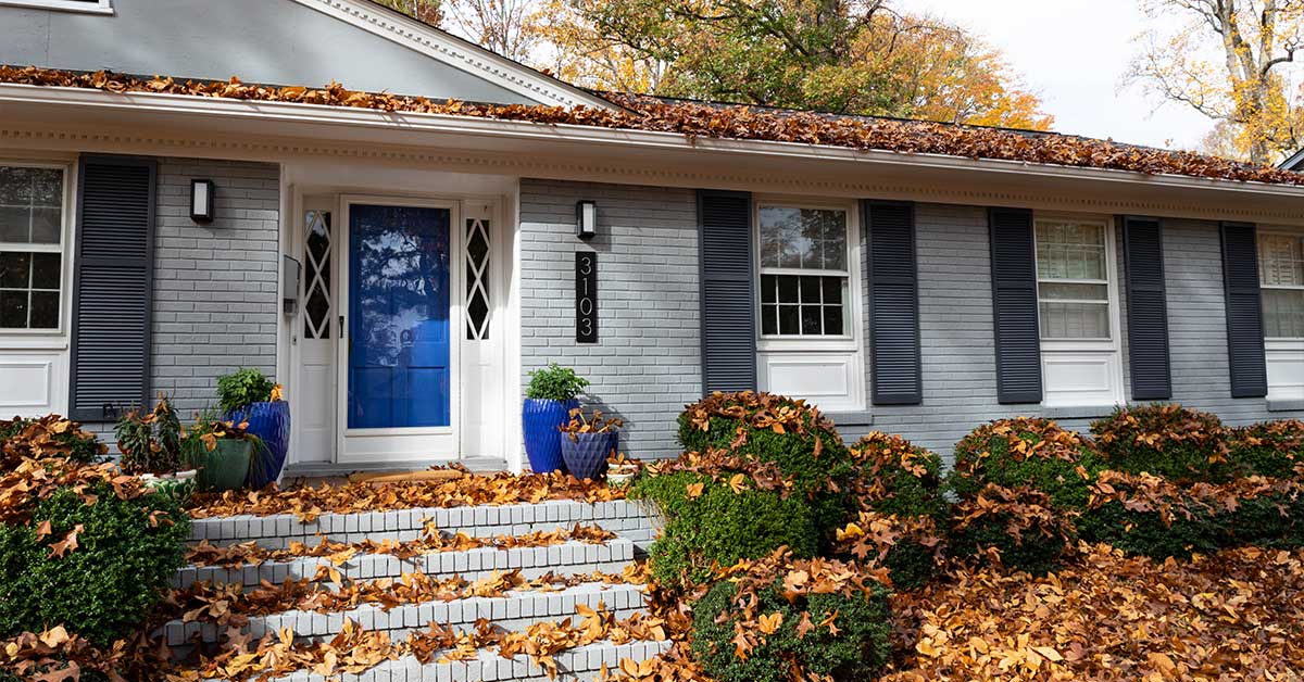 Should You Pressure Wash Your Home Before Leaves Start Falling